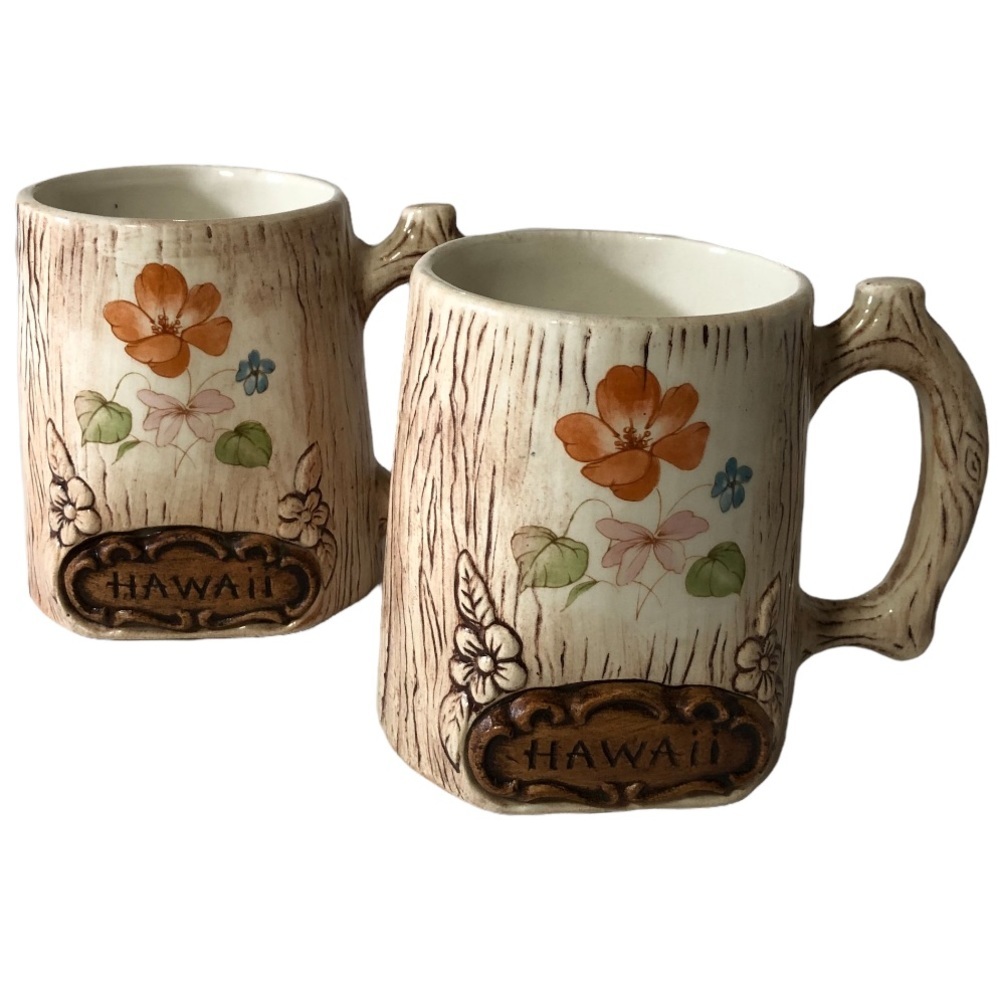𝅺Vintage Floral Hawaii Treasure Craft Mugs